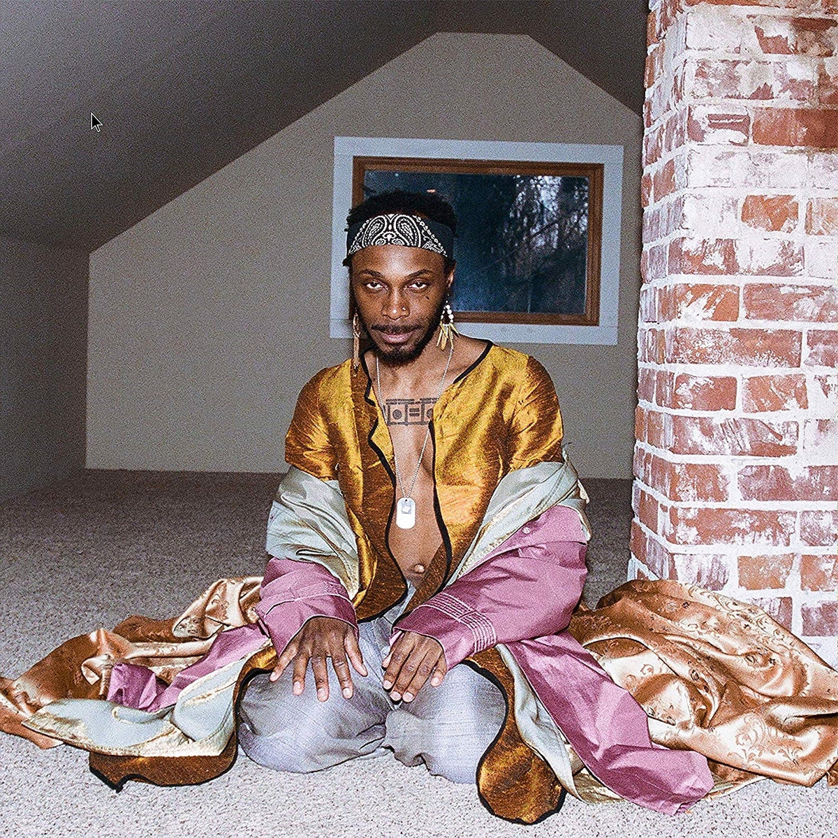 Jpegmafia – All My Heroes Are Cornballs vinyl record cover