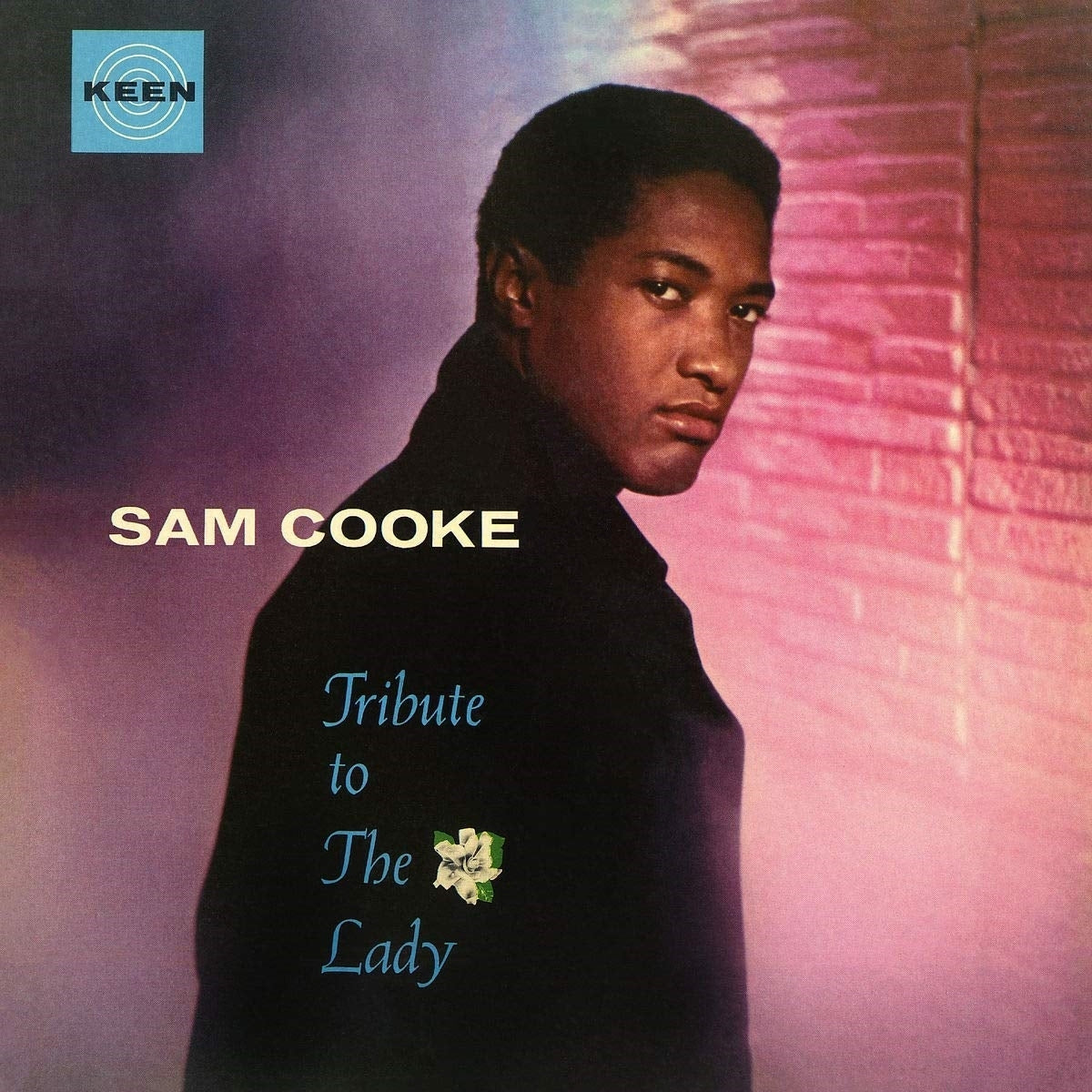 Sam Cooke – TRIBUTE TO THE LADY(LP) by SAM COOKE vinyl record cover