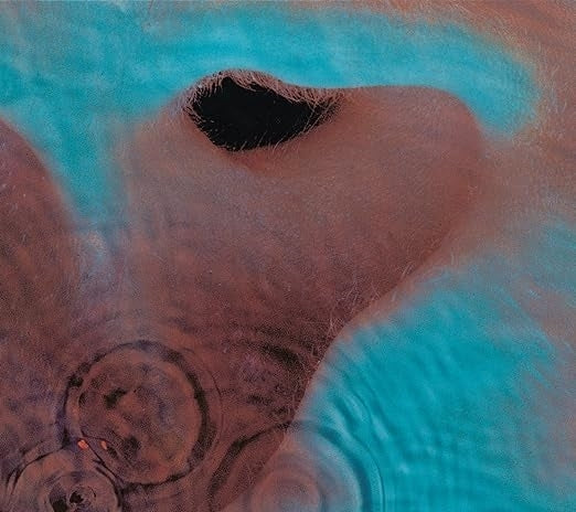 Pink Floyd – Meddle vinyl record cover