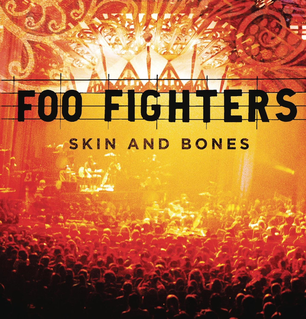 Foo Fighters – Skin and Bones vinyl record cover