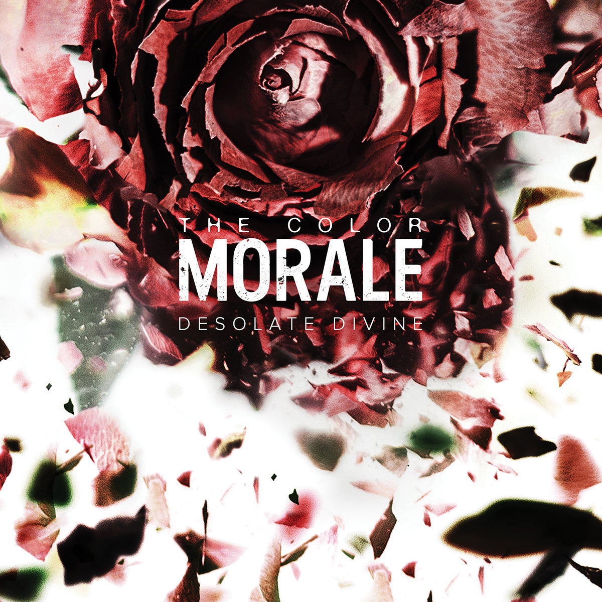 The Color Morale – DESOLATE DIVINE(LP) by COLOR MORALE,THE vinyl record cover