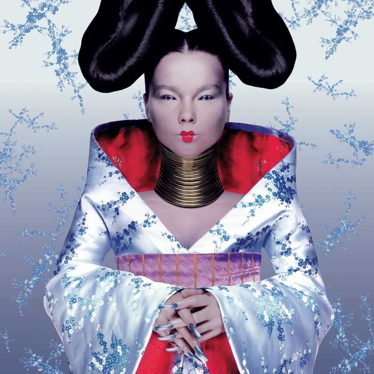 Björk – Homogenic vinyl record cover