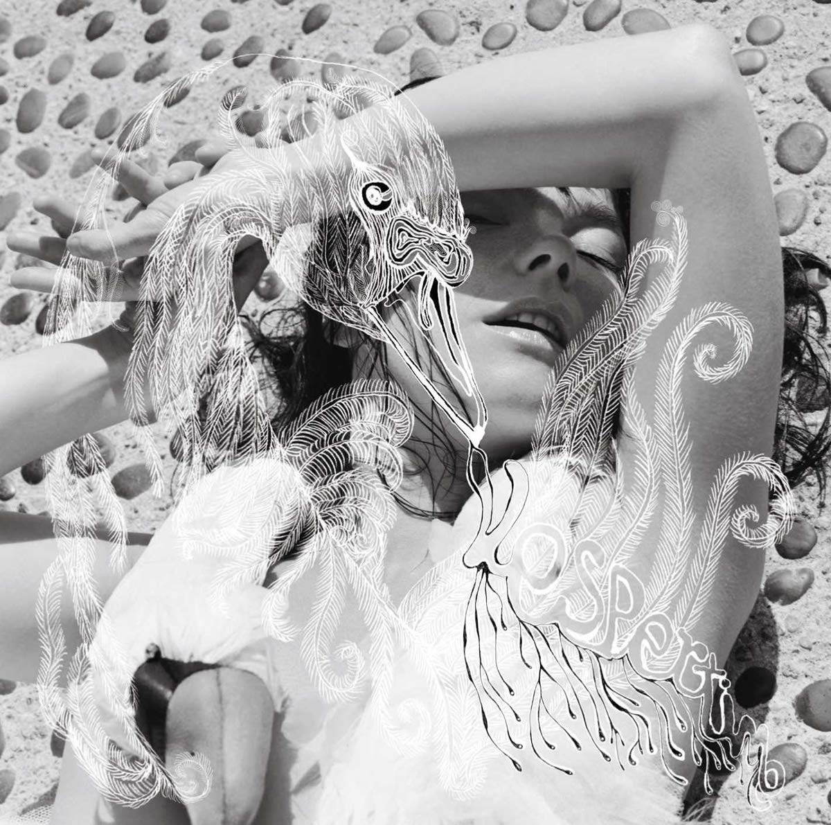 Bjork – Vespertine by Bjork vinyl record cover