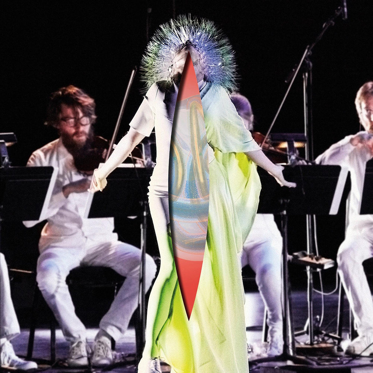Björk – Vulnicura Strings vinyl record cover
