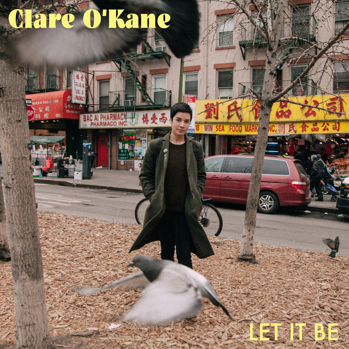 Clare O'Kane – Let It Be vinyl record cover