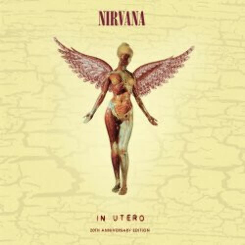 Nirvana – In Utero vinyl record cover