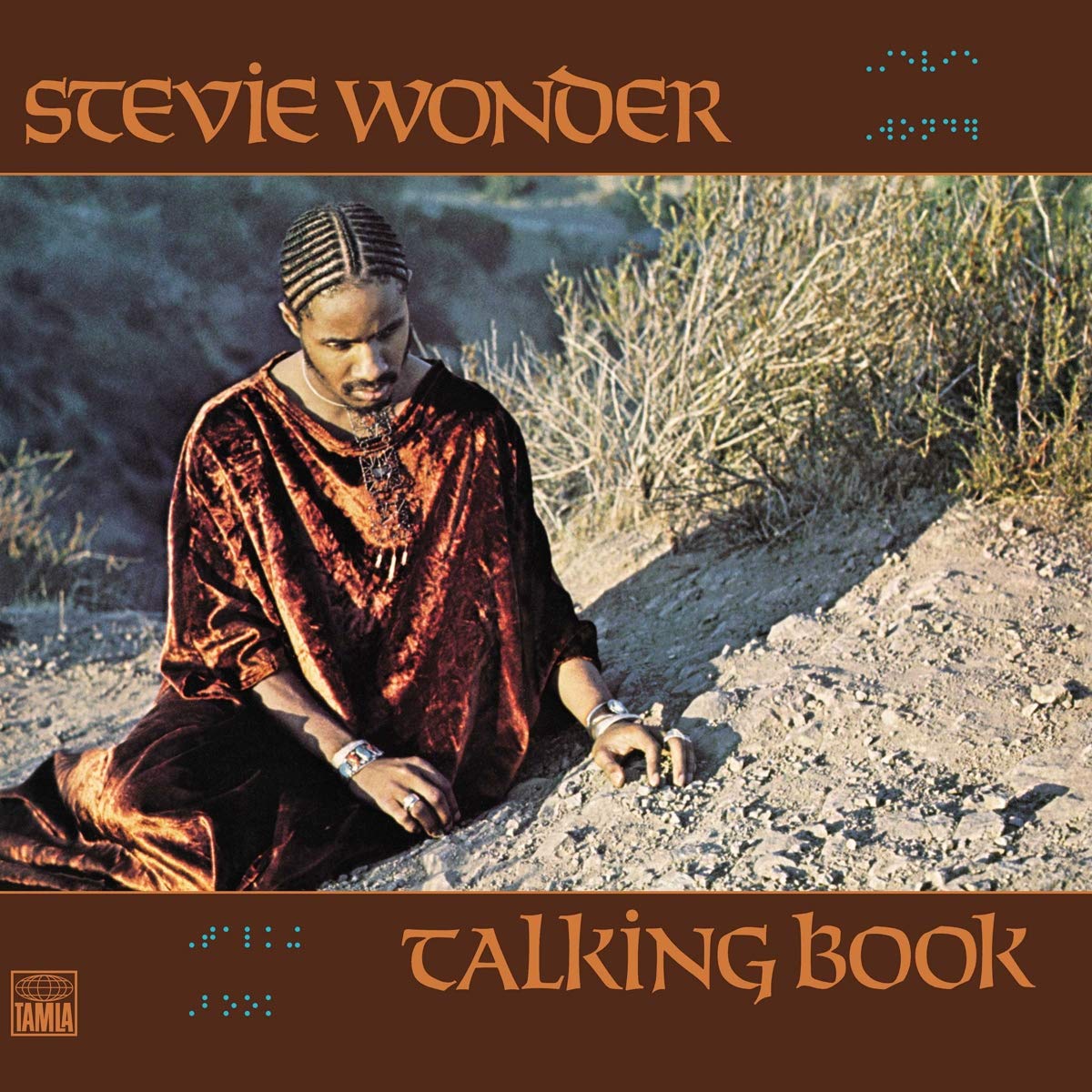 Stevie Wonder – Talking Book vinyl record cover