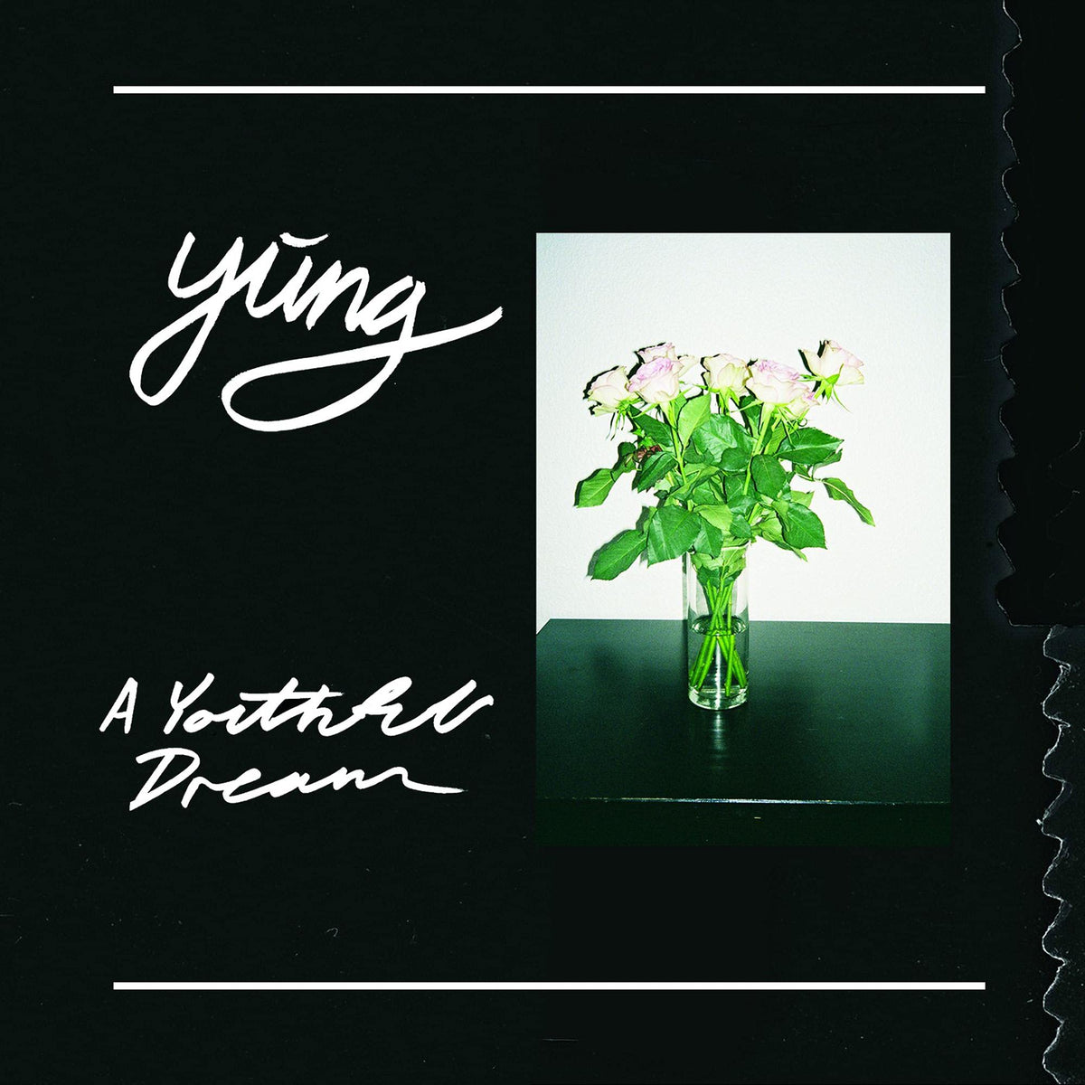 Yung – A Youthful Dream by Yung vinyl record cover
