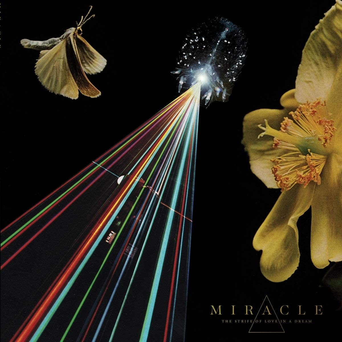 Miracle – The Strife of Love in a Dream vinyl record cover