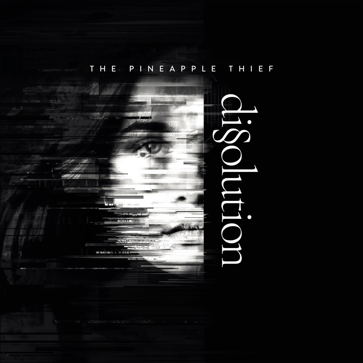 The Pineapple Thief – Dissolution vinyl record cover