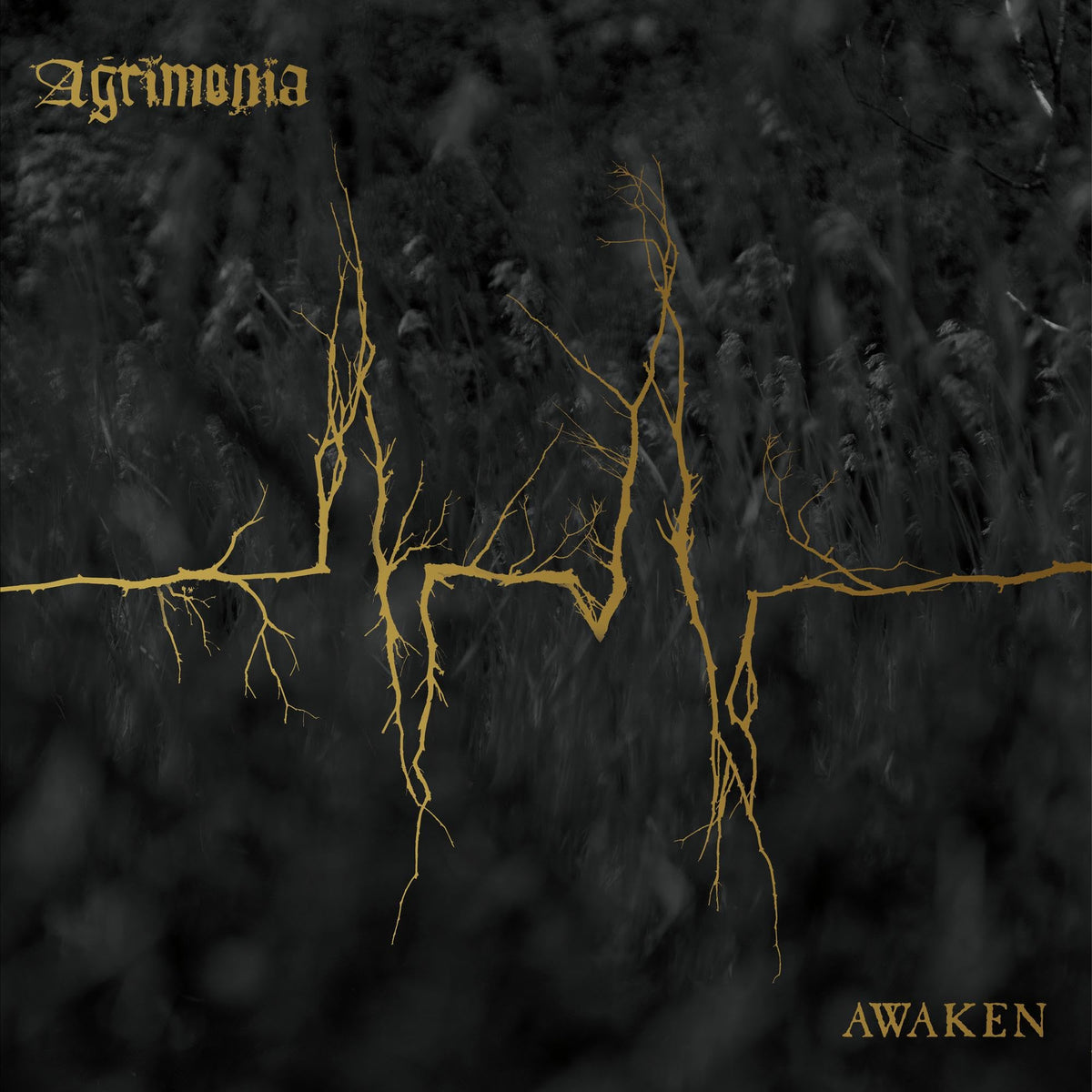Agrimonia – Awaken by Agrimonia vinyl record cover