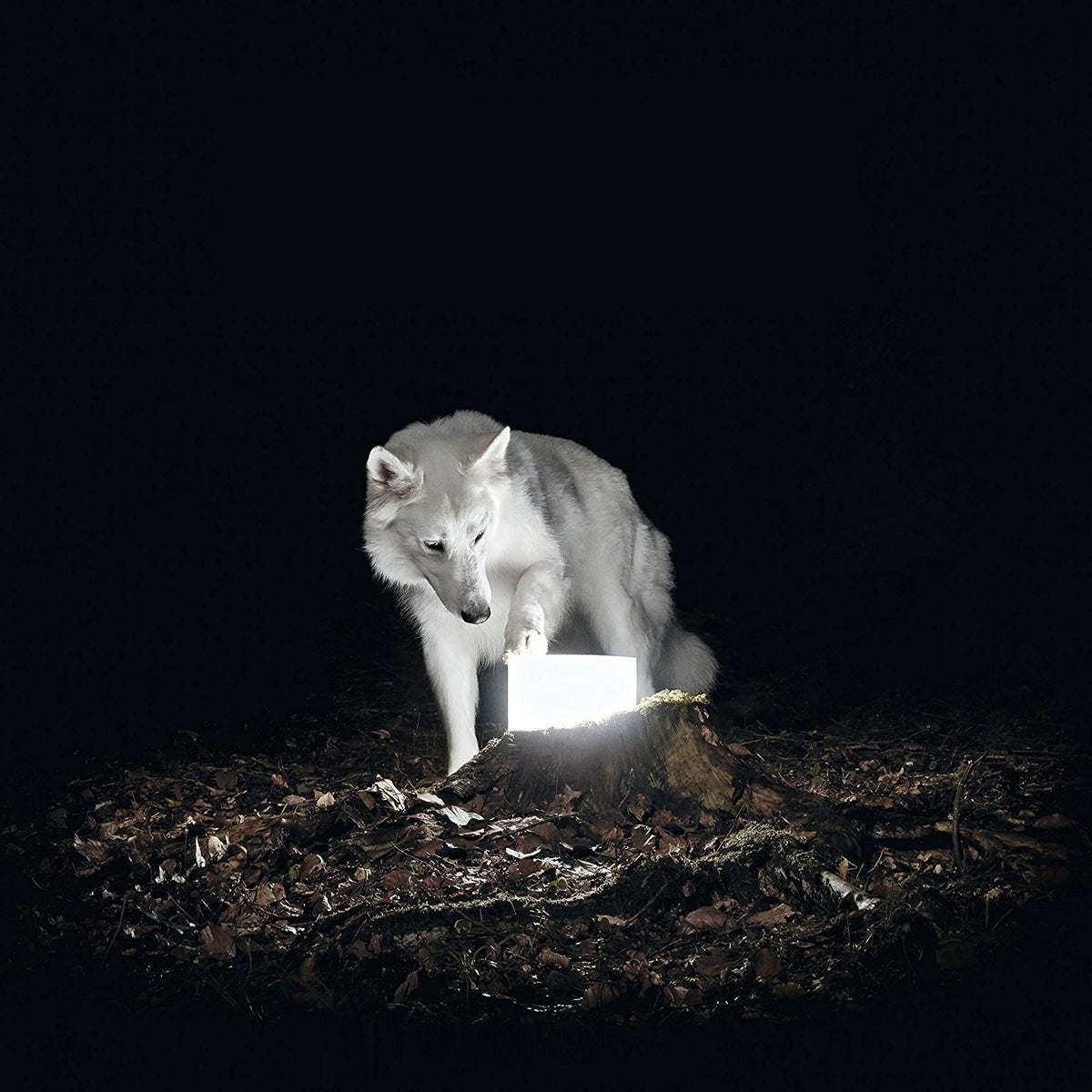 Vanishing Life – SURVEILLANCE(LP) by VANISHING LIFE vinyl record cover