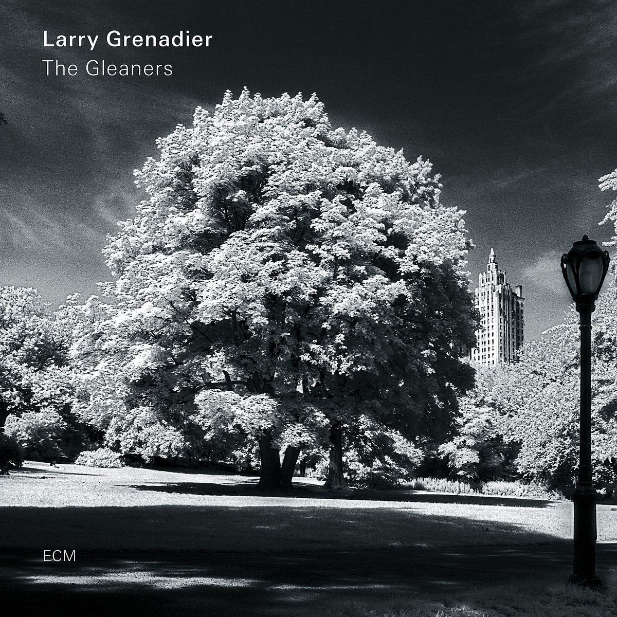 Larry Grenadier – The Gleaners vinyl record cover