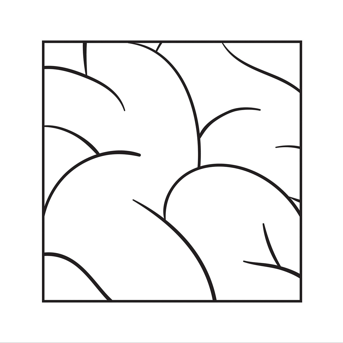 Intellexual – Intellexual vinyl record cover