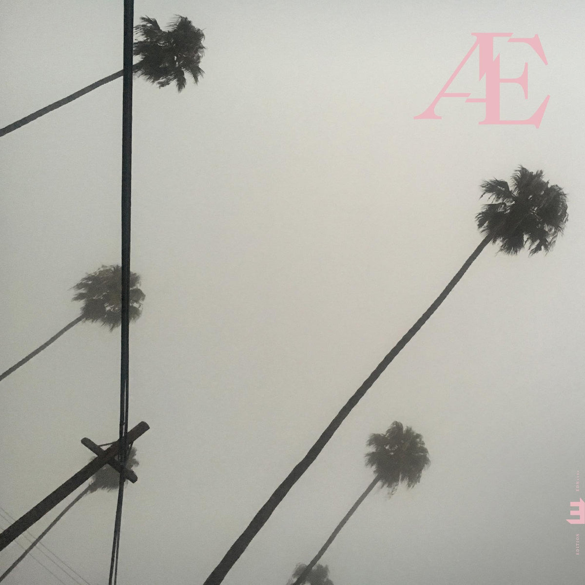 Anton Eger – Æ vinyl record cover