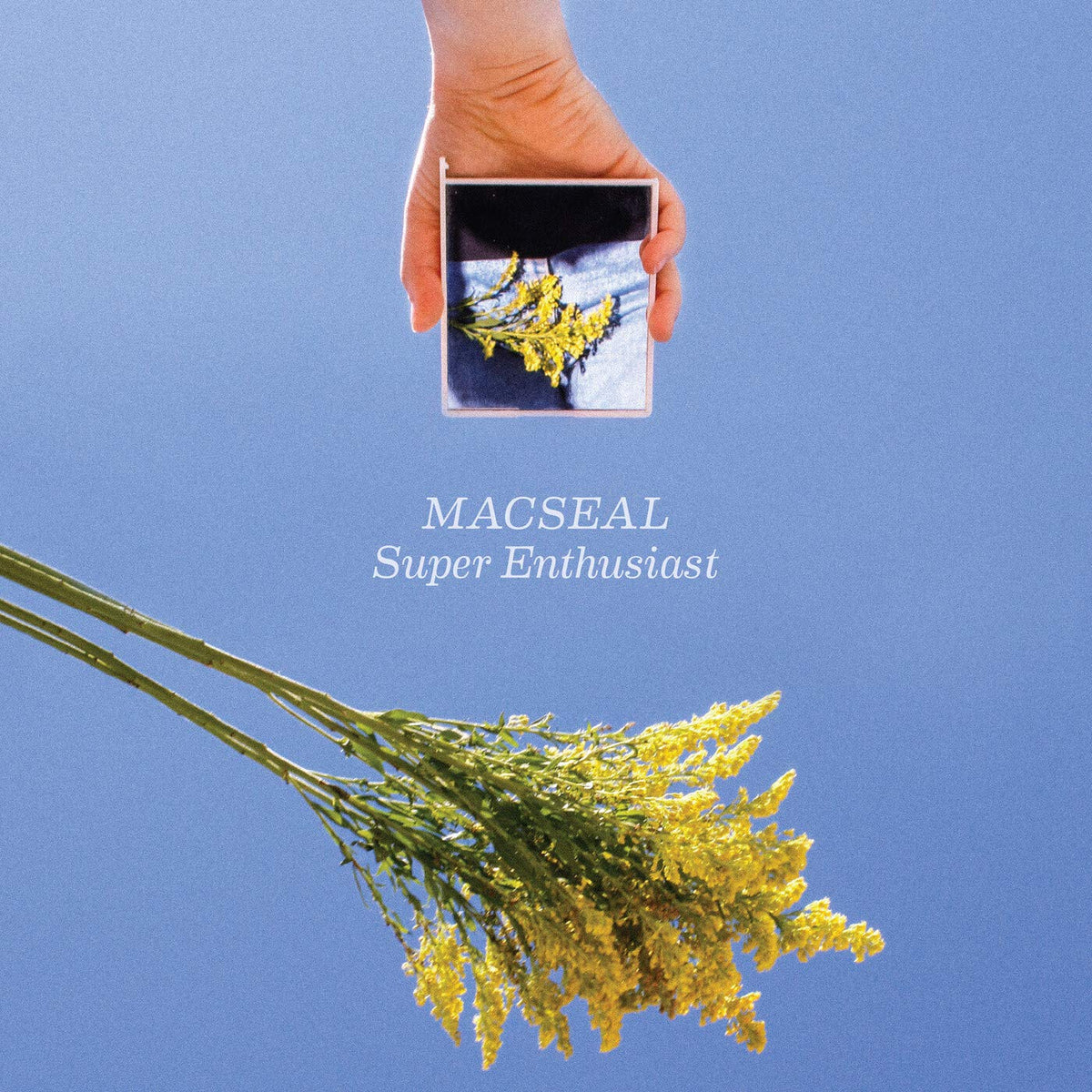 Macseal – SUPER ENTHUSIAST(LP) by MACSEAL vinyl record cover