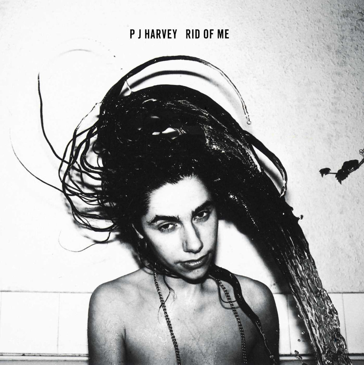 PJ Harvey – Rid of Me vinyl record cover
