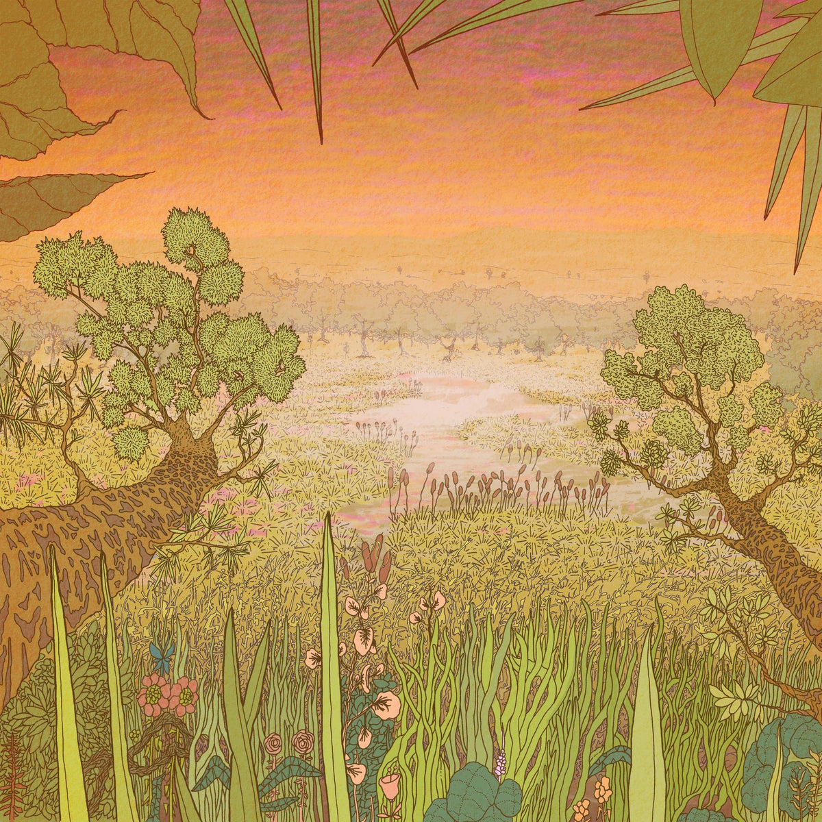 Pine Barons – Mirage On the Meadow vinyl record cover