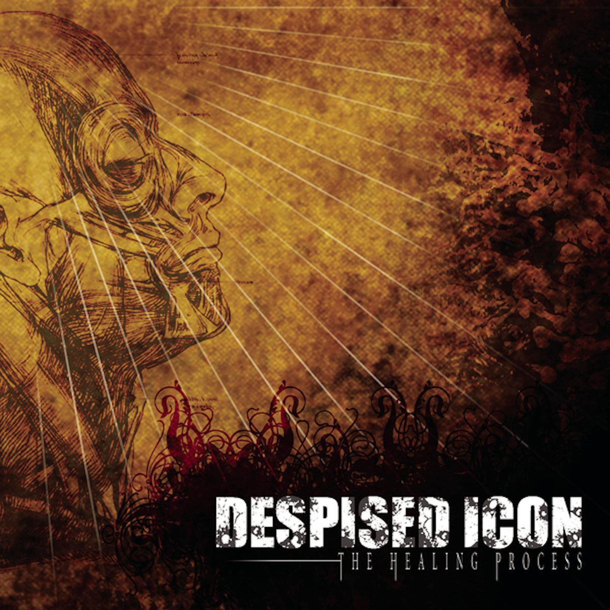 Despised Icon – The Healing Process vinyl record cover