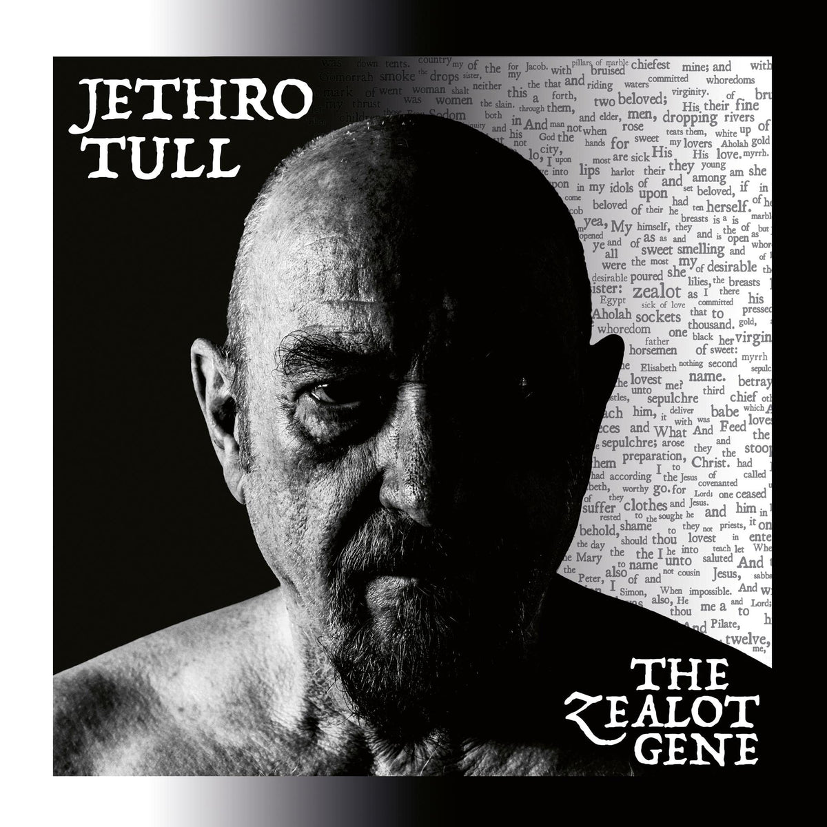 Jethro Tull – The Zealot Gene by Jethro Tull vinyl record cover