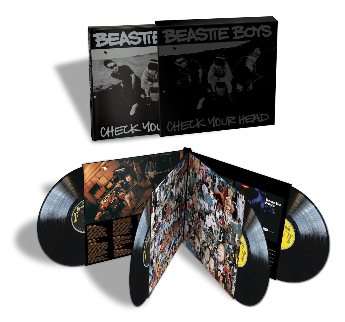 Beastie Boys – Check Your Head vinyl record cover