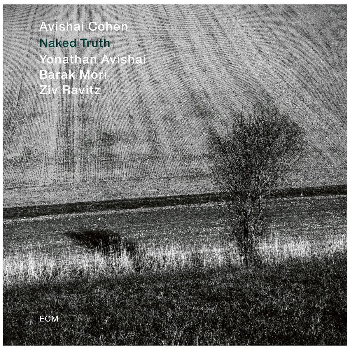 Avishai Cohen – Naked Truth vinyl record cover