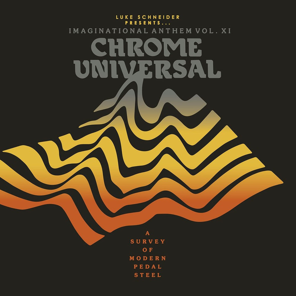 Various Artists – LUKE SCHNEIDER PRESENTS(LP by VARIOUS ARTISTS vinyl record cover