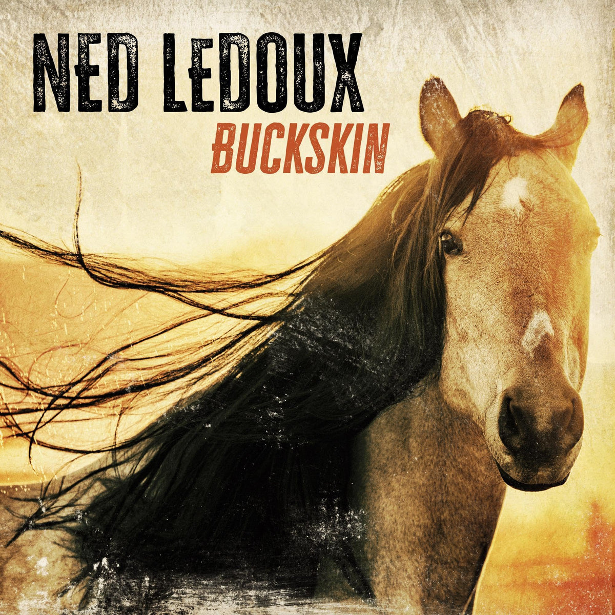 Ned LeDoux – Buckskin vinyl record cover