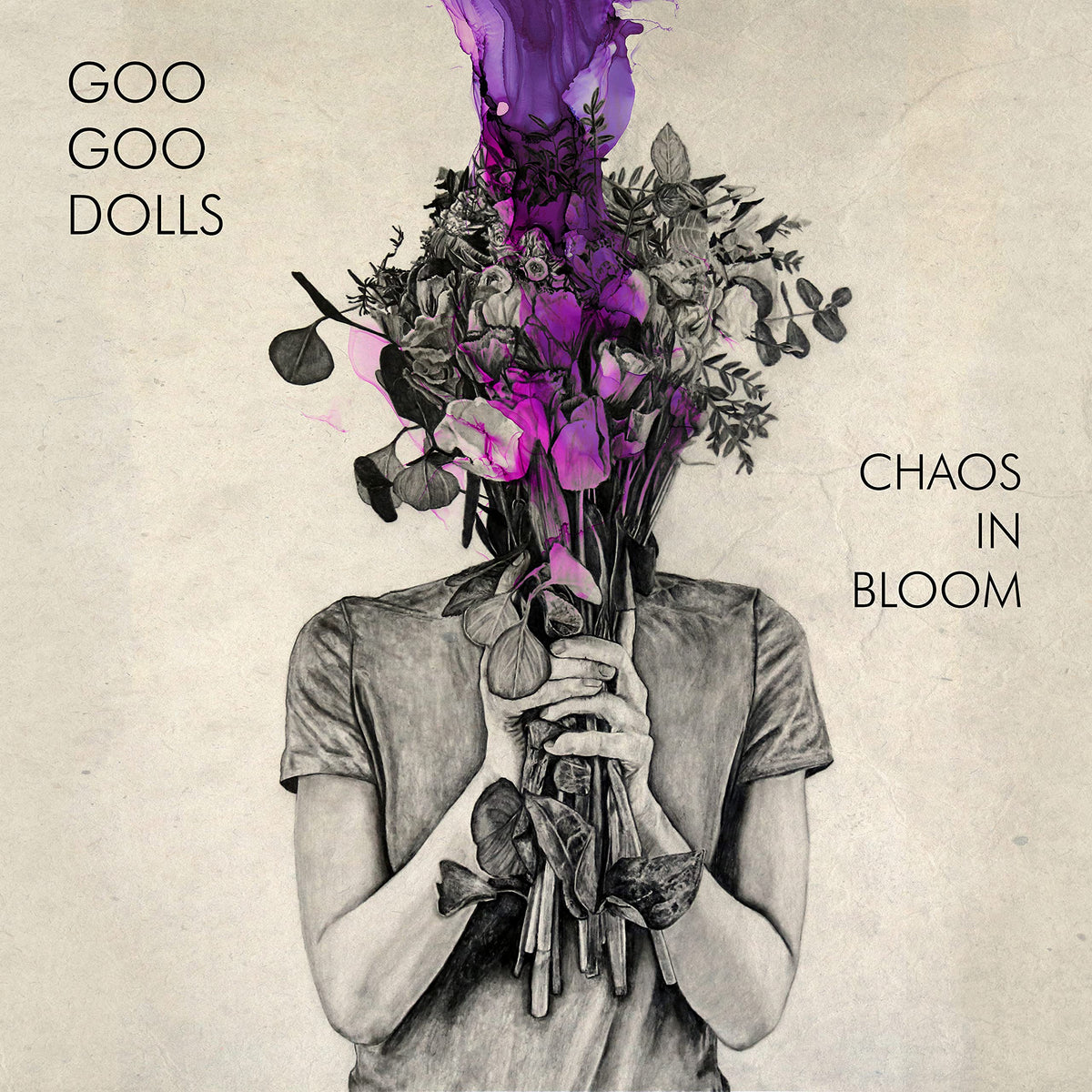 Goo Goo Dolls – Chaos in Bloom vinyl record cover