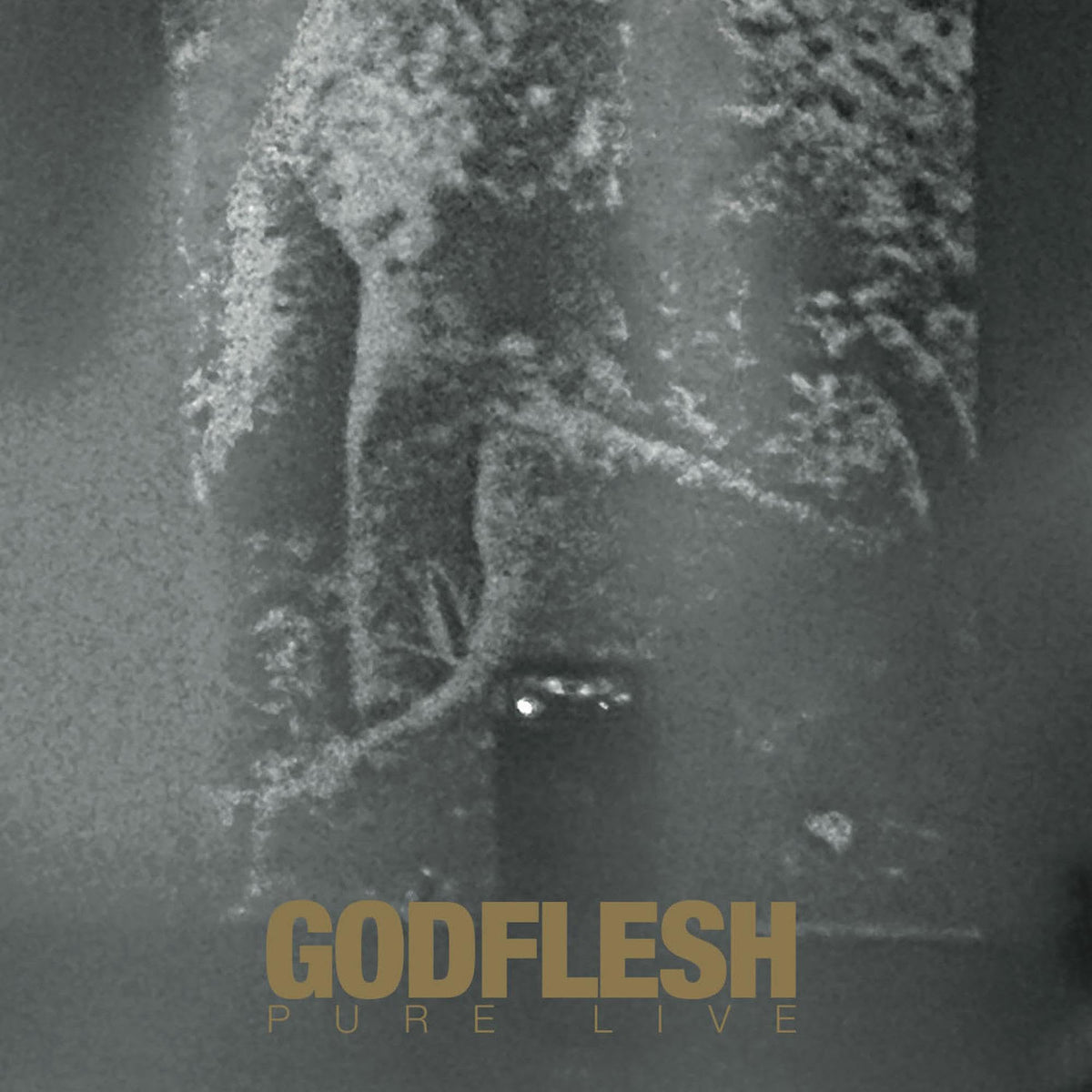 Godflesh – Pure vinyl record cover