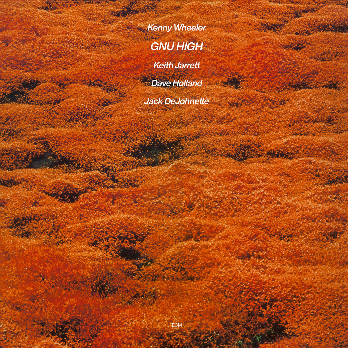 Kenny Wheeler – Gnu High vinyl record cover