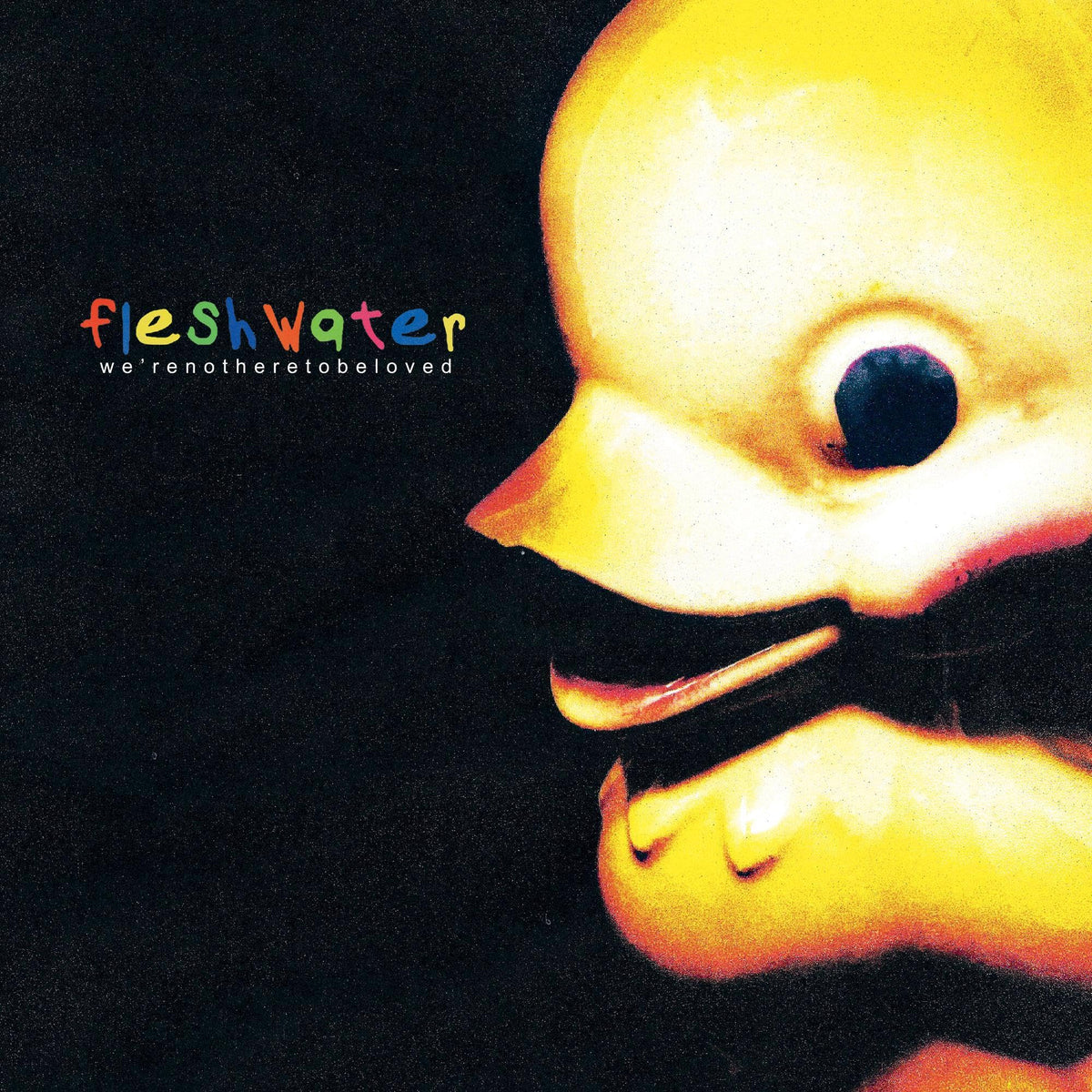 Fleshwater – We're Not Here to Be Loved vinyl record cover