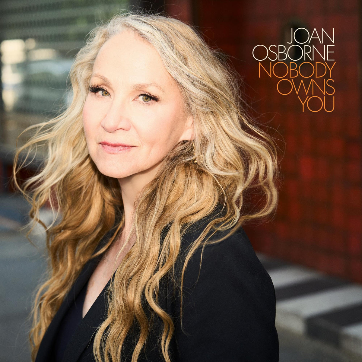 Joan Osborne – Nobody Owns You vinyl record cover