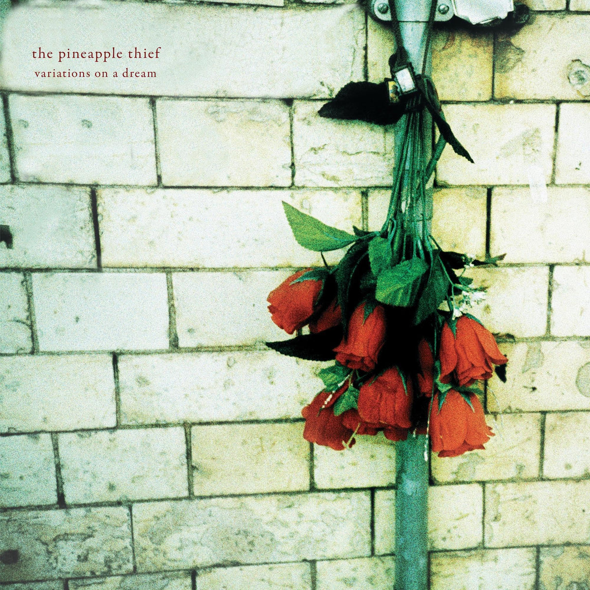 The Pineapple Thief – Variations On a Dream vinyl record cover