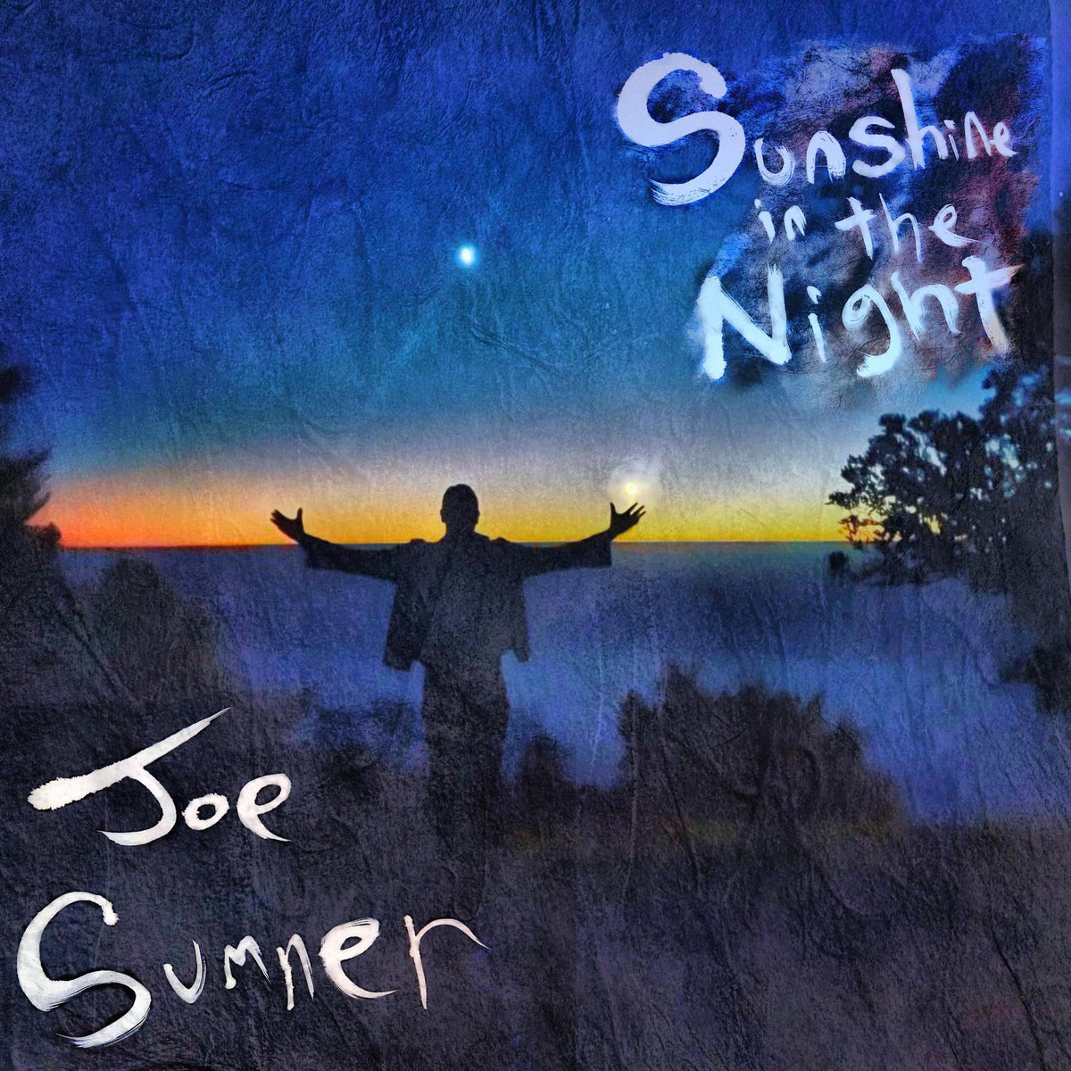 Joe Sumner – Sunshine in the Night vinyl record cover