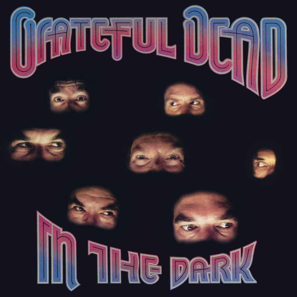The Grateful Dead – In the Dark vinyl record cover