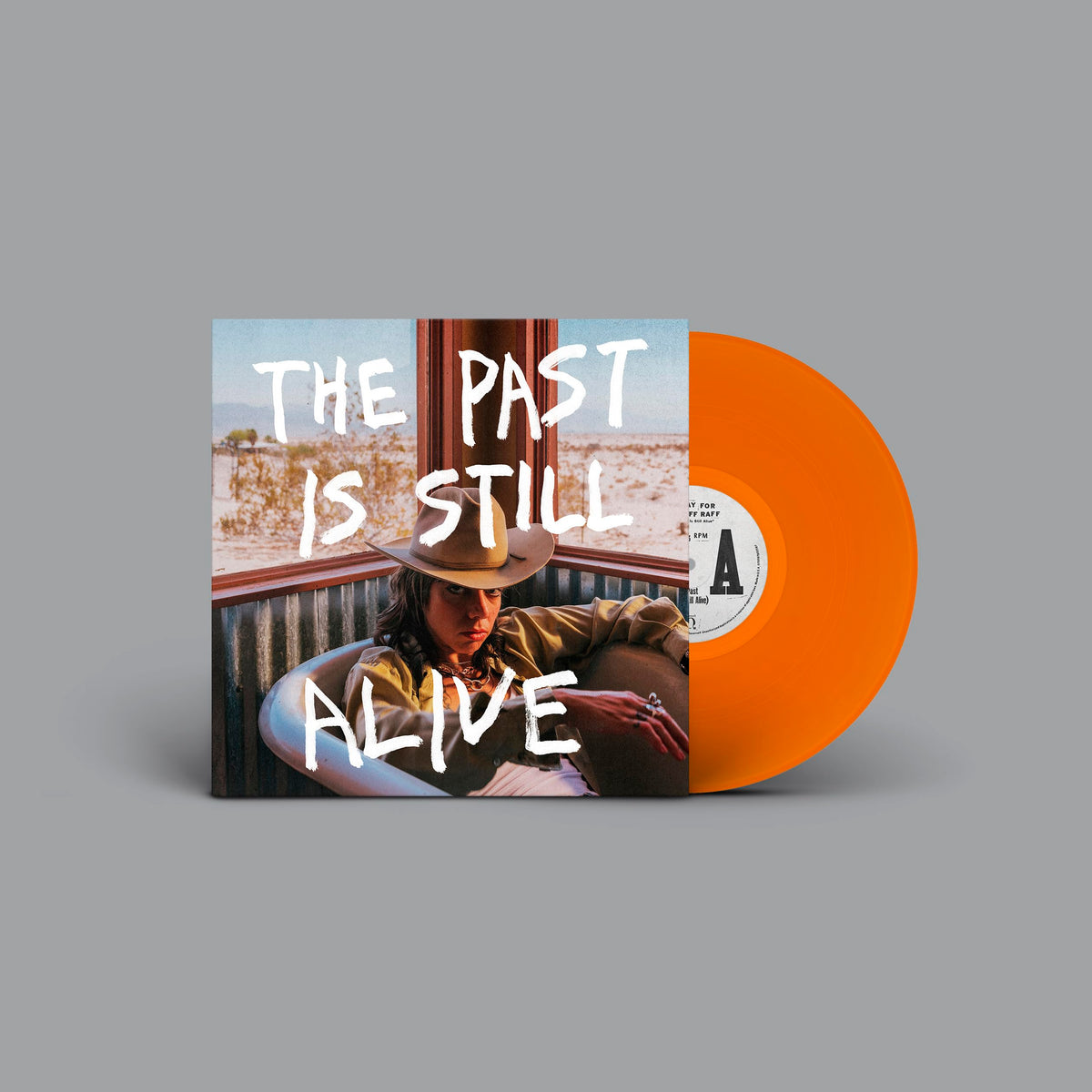 Hurray for the Riff Raff – The Past Is Still Alive vinyl record cover
