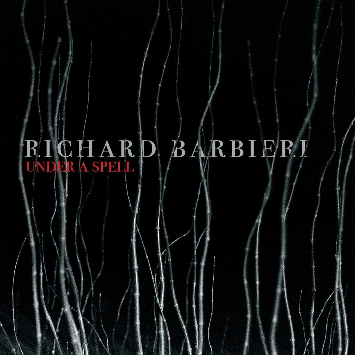 Richard Barbieri – Under a Spell vinyl record cover
