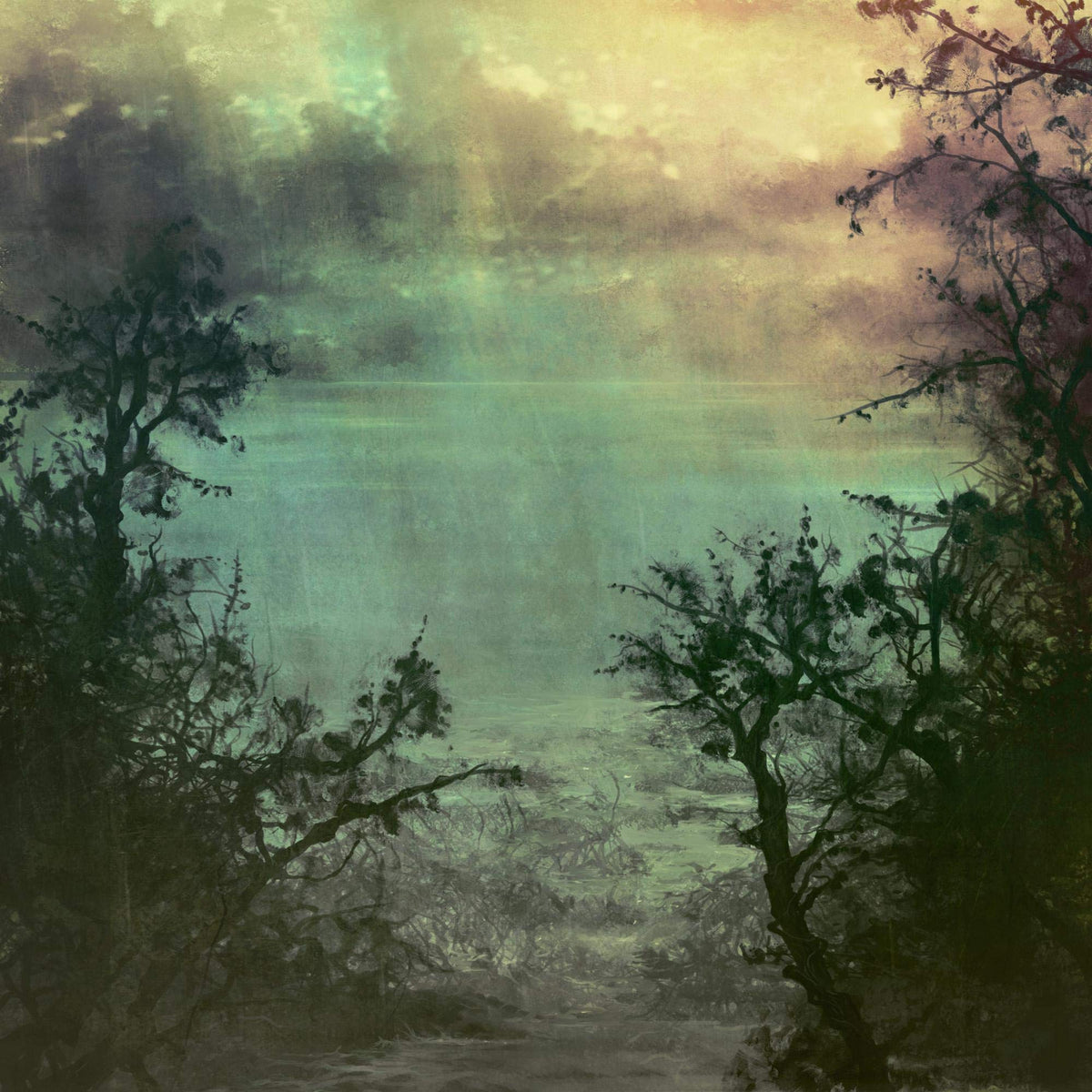 Coltsblood/UN – Coltsblood/UN vinyl record cover