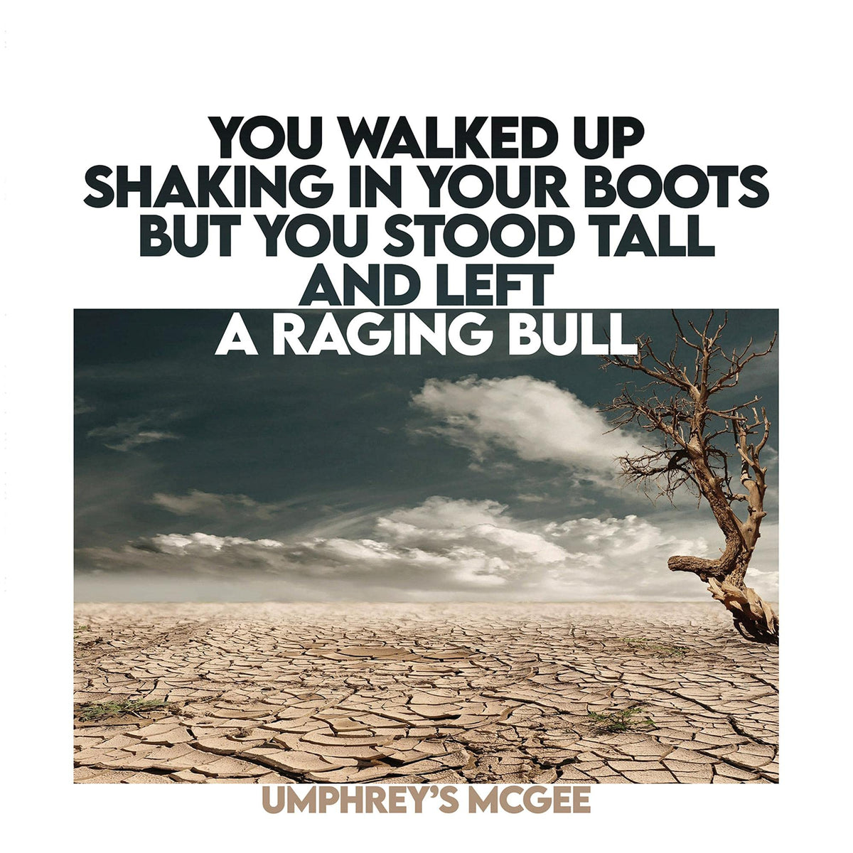 Umphreys Mcgee – You Walked Up Shaking In Your Boots But You Stood Tall And Left A Raging Bull by Umphreys Mcgee vinyl record cover