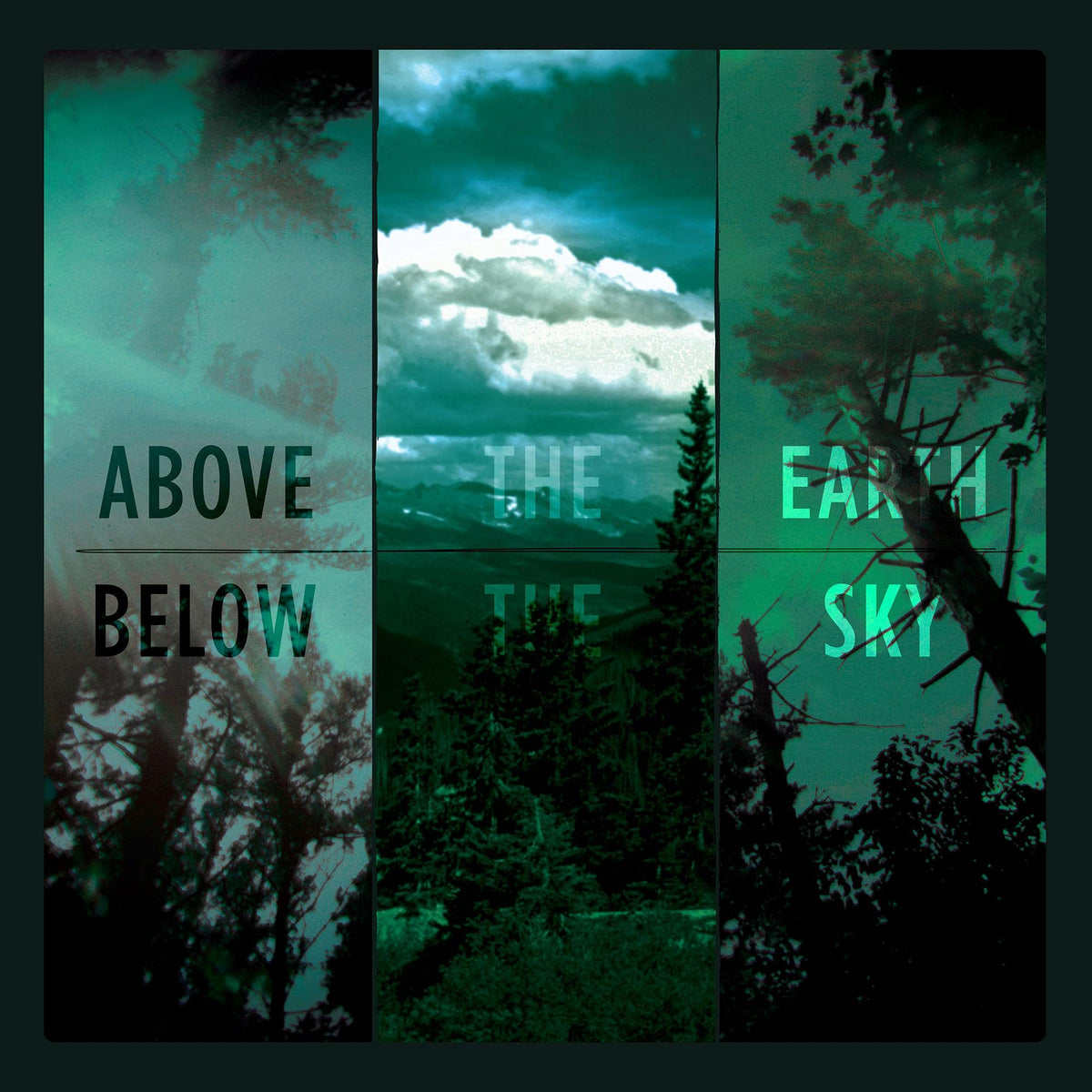 If These Trees Could Talk – Above The Earth, Below The Sky by If These Trees Could Talk vinyl record cover