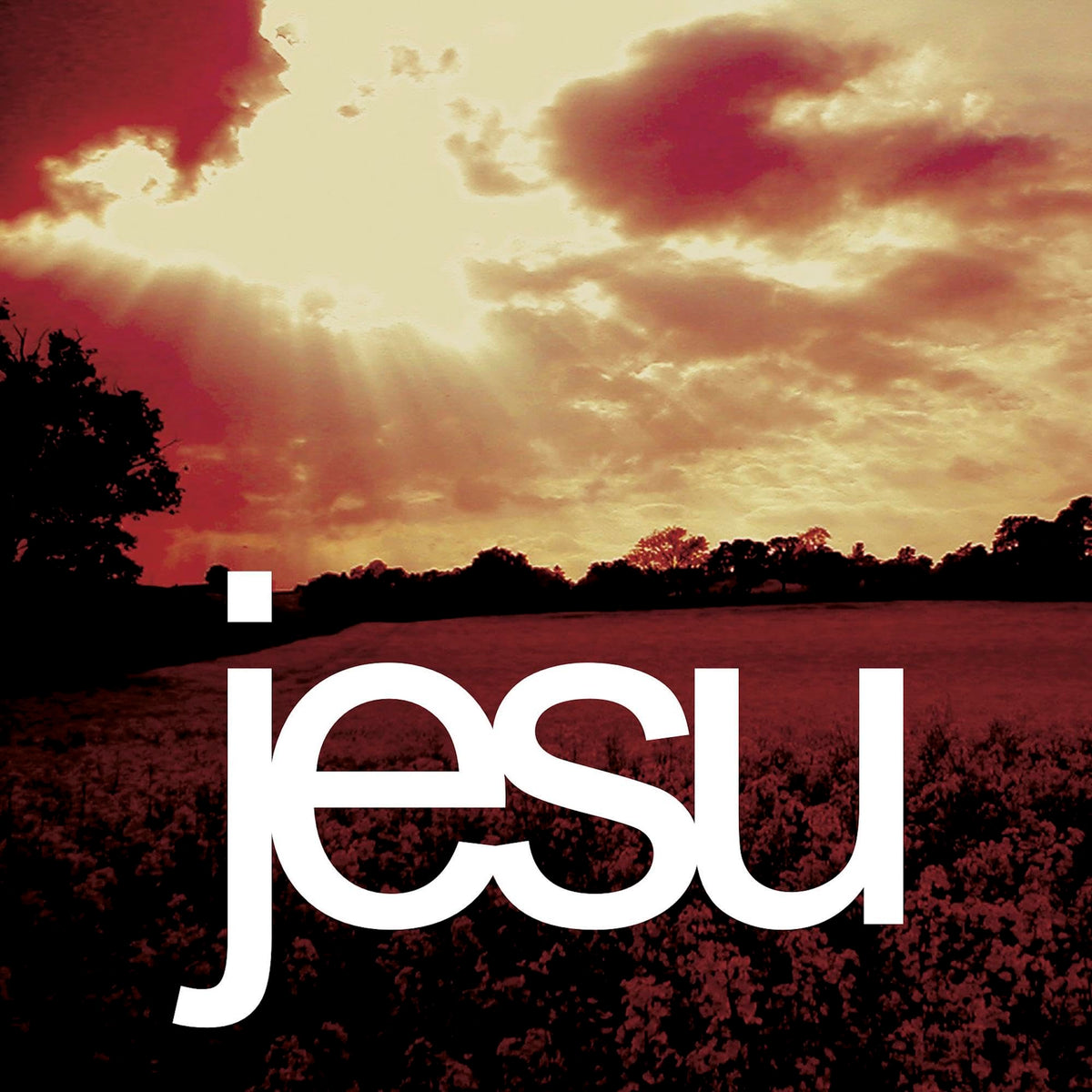 Jesu – Heart Ache (Remaster Deluxe) by Jesu vinyl record cover