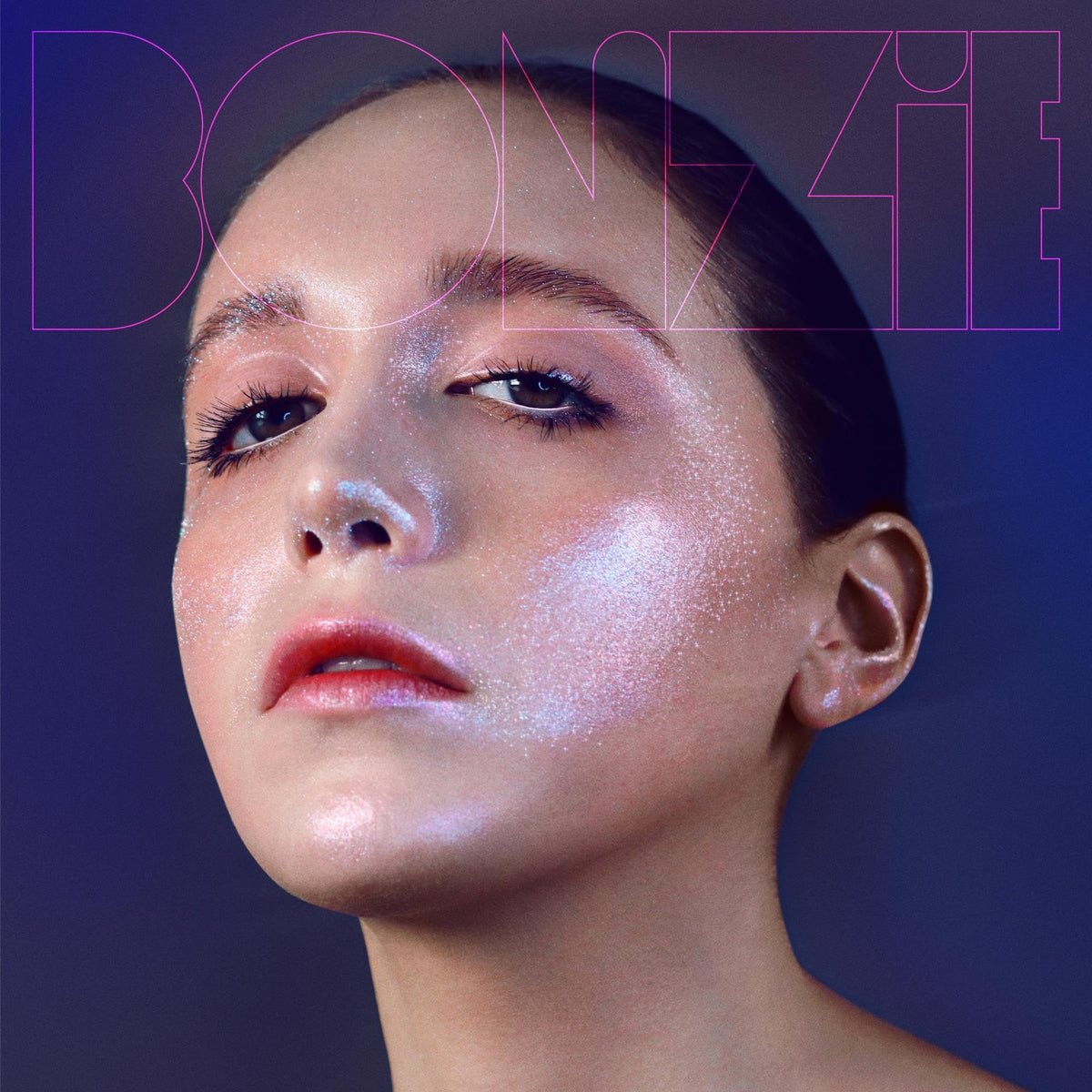 Bonzie – Reincarnation vinyl record cover