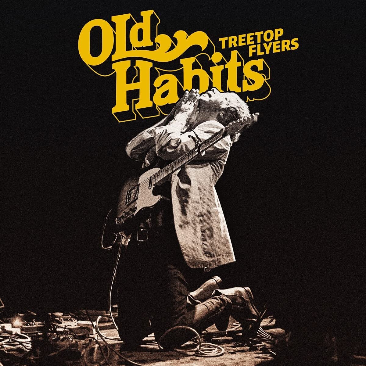 Treetop Flyers – Old Habits vinyl record cover