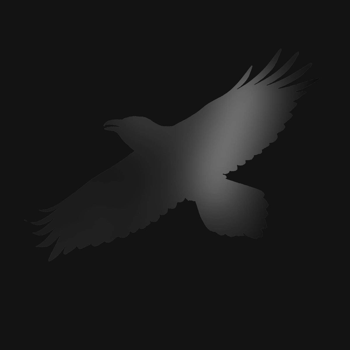 Sigur Rós – Odin's Raven Magic vinyl record cover