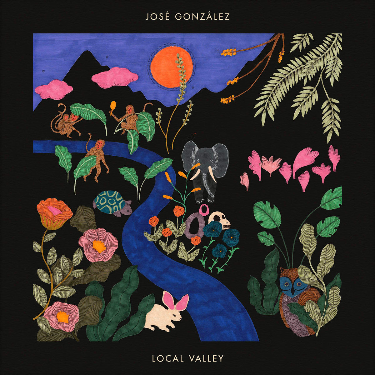 Jose Gonzalez – LOCAL VALLEY (LP) by JOSE GONZALEZ vinyl record cover