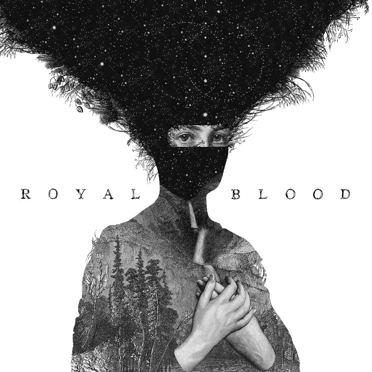 Royal Blood – Royal Blood vinyl record cover