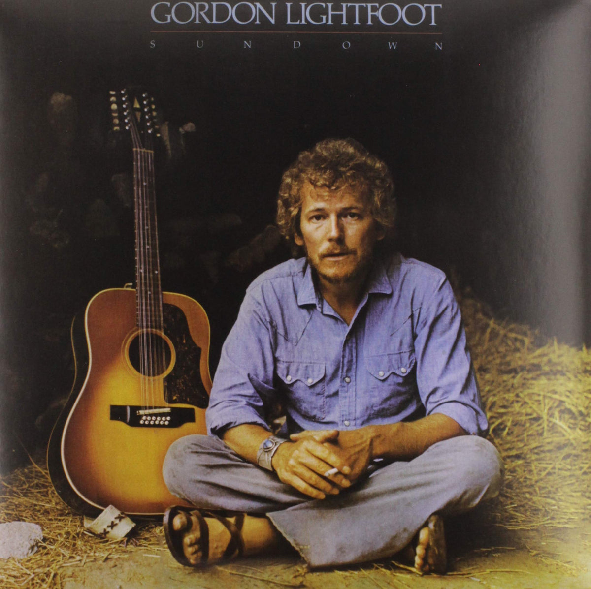 Gordon Lightfoot – SUNDOWN (LP) by GORDON LIGHTFOOT vinyl record cover
