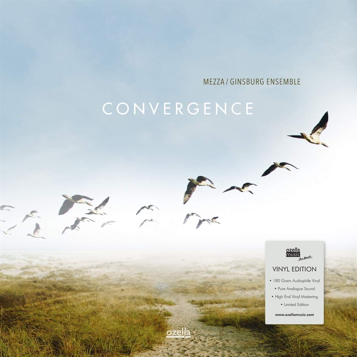 Mezza/Ginsburg Ensemble – Convergence vinyl record cover
