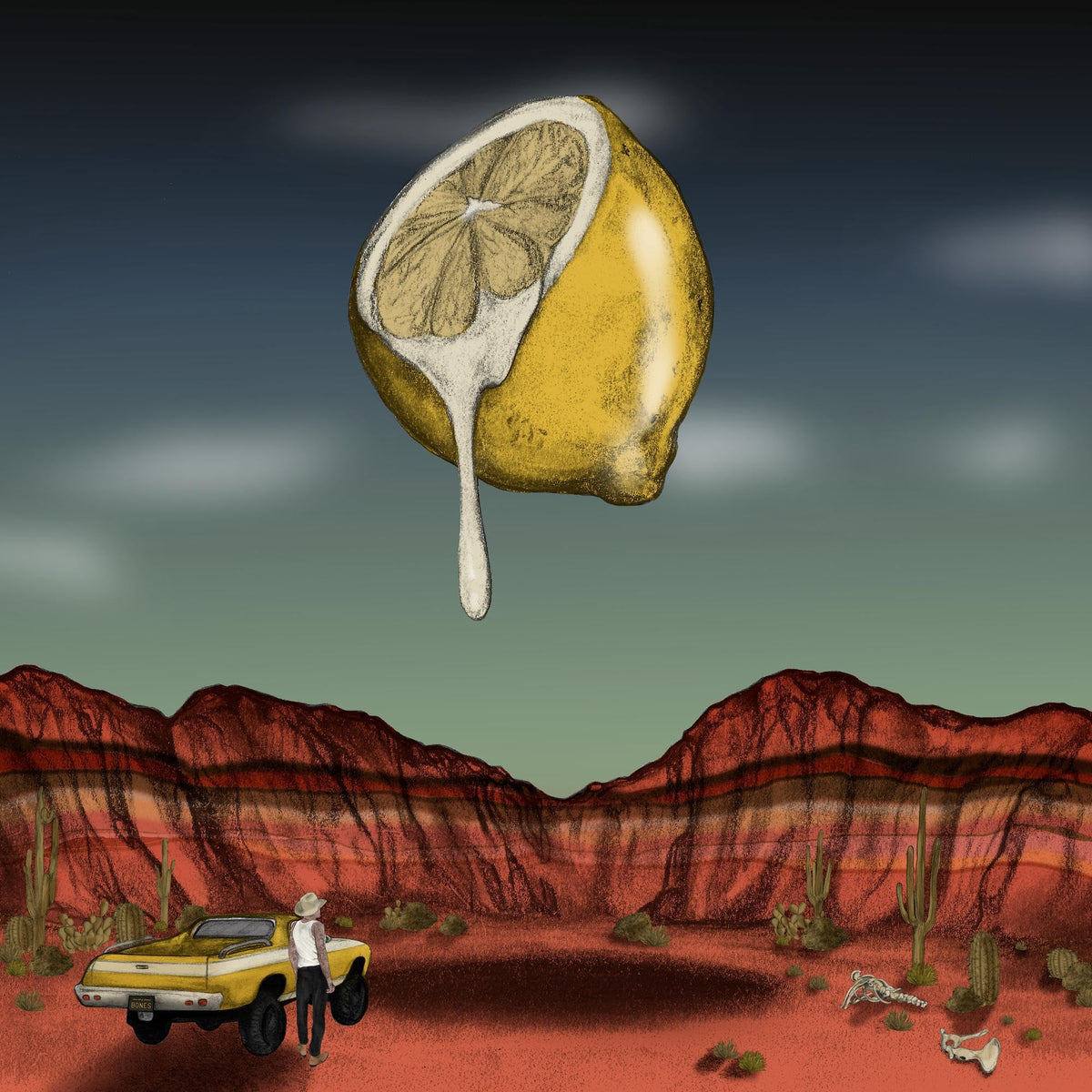 Bones Owens – Love Out of Lemons vinyl record cover